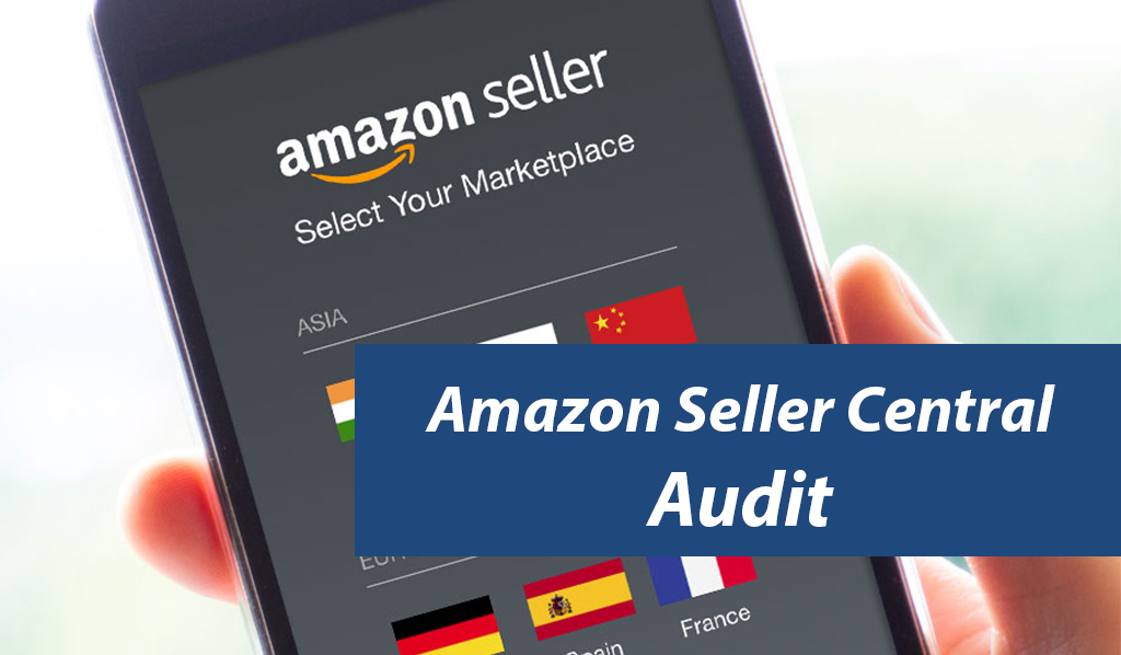 Amazon-Seller-Central-Audit